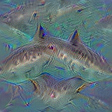 n01484850 great white shark, white shark, man-eater, man-eating shark, Carcharodon carcharias